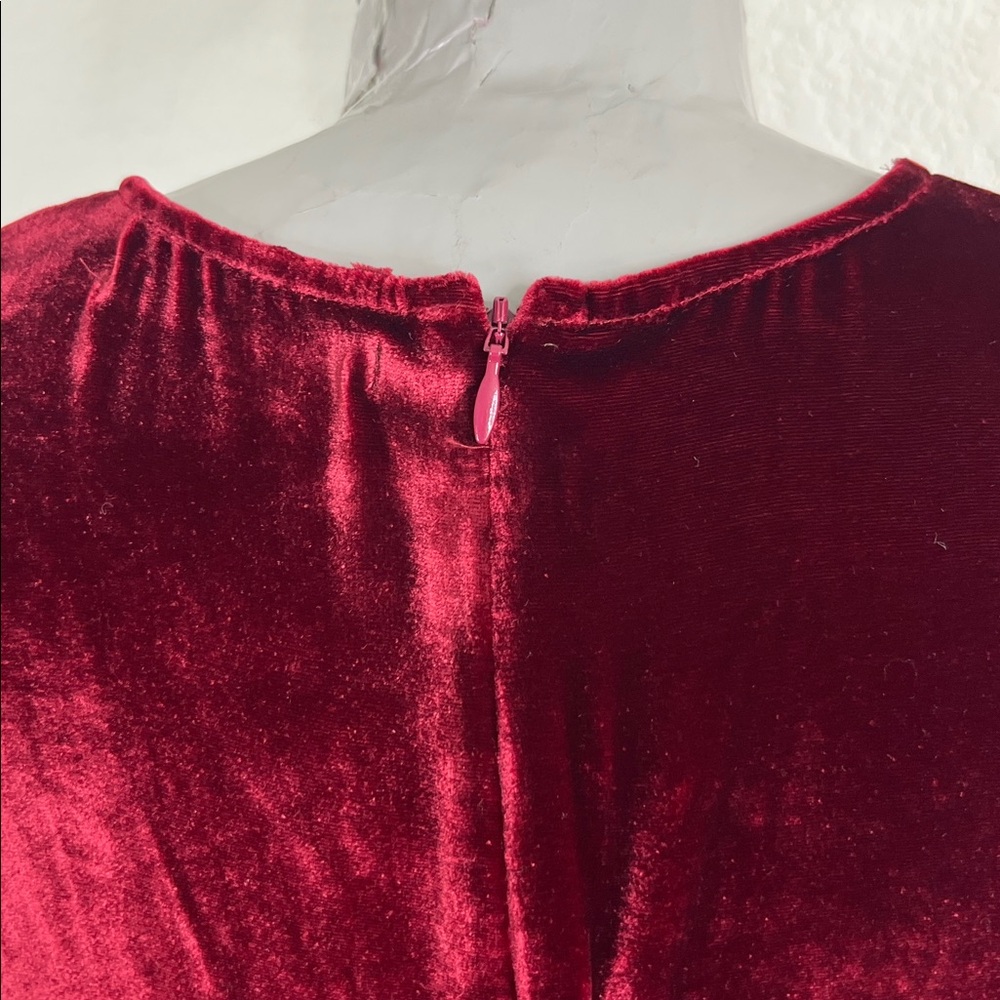 Reformation Malaga Velvet Dress in Chianti Lace Pouf Sleeve Plunge Neck Floor - Picture 10 of 14